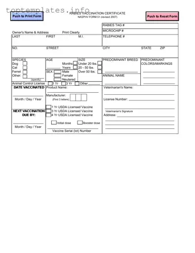 Fill in Your Rabies Certificate Form