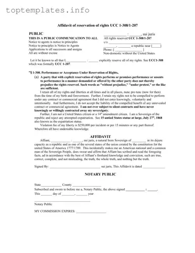 Fill in Your Ucc 1 308 Form